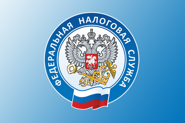2 декабря срок уплаты имущественных налогов. 2 декабря срок уплаты имущественных налогов.